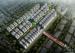 Belgravia Ace (D28), Terrace #498321811